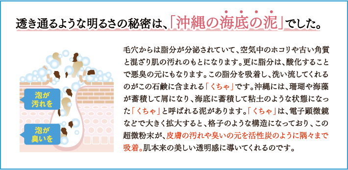 透き通るような明るさの秘密