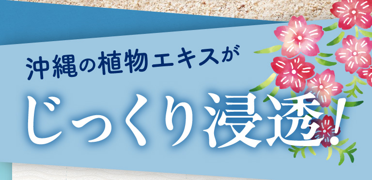 沖縄の植物エキスがじっくり浸透！