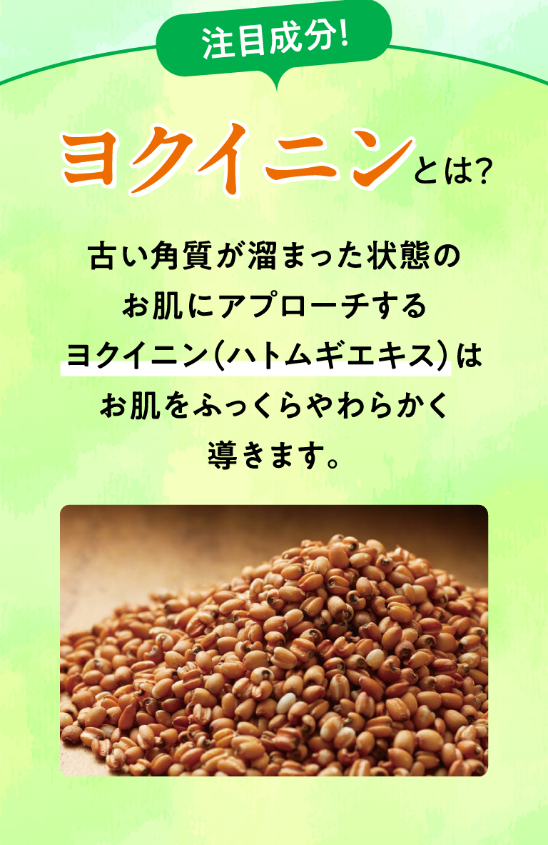 注目成分！ヨクイニンとは？古い角質が溜まった状態のお肌にアプローチするヨクイニン（ハトムギエキス）はお肌をふっくらやわらかく導きます。