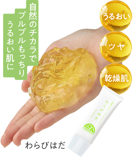 「わらびはだ」自然のチカラでプルプルもっちりうるおい肌に