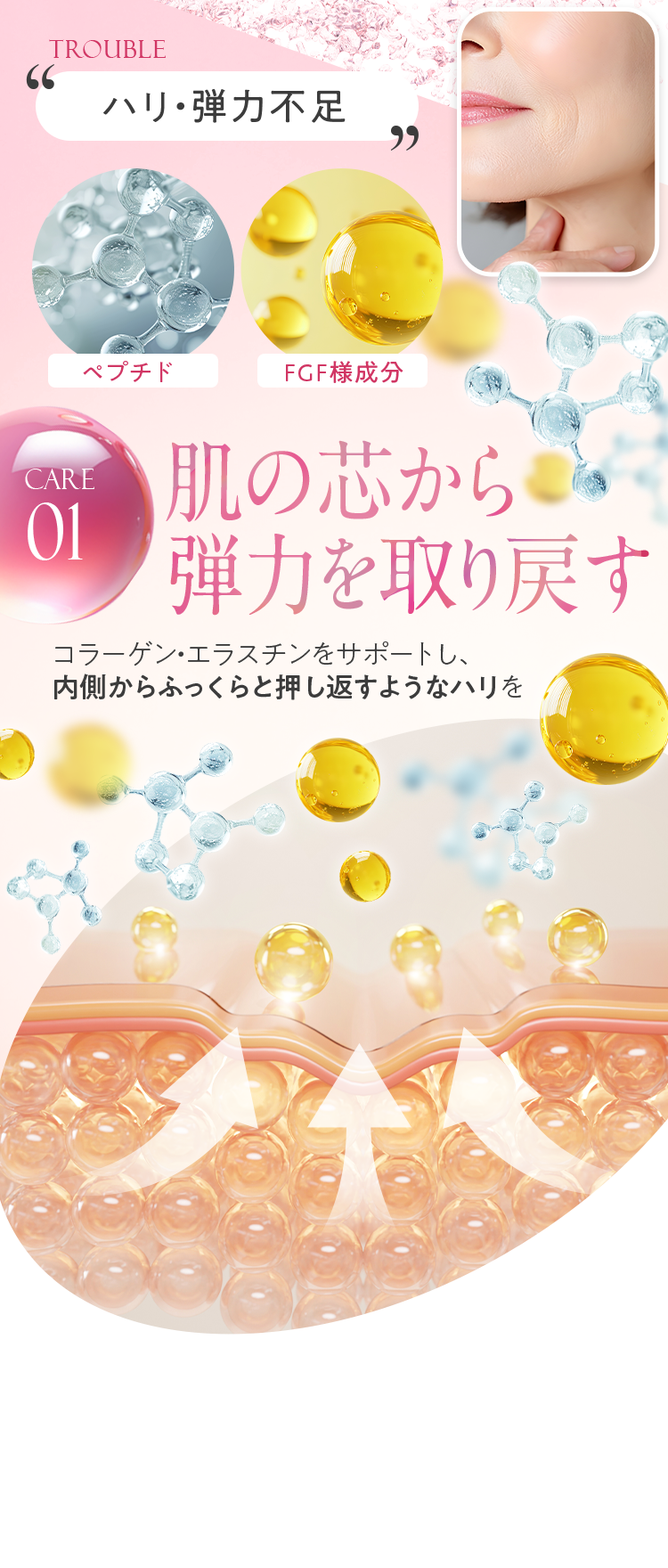 CARE01「ハリ・弾力不足」 肌の芯から弾力を取り戻す コラーゲン・エラスチンをサポートし、内側からふっくらと押し返すようなハリを