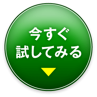 今すぐ試してみる