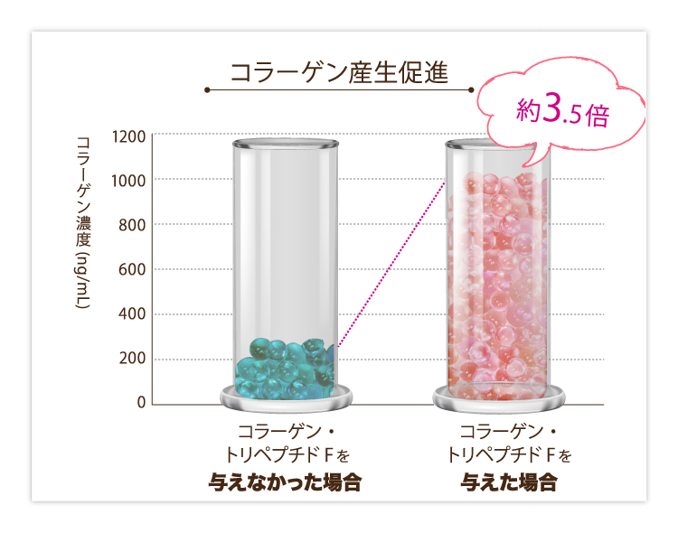 コラーゲン産生促進