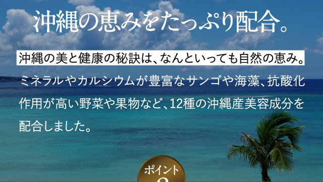 沖縄の恵みをたっぷり配合。