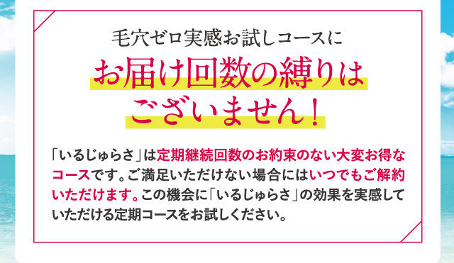 お届け回数の縛りはございません！