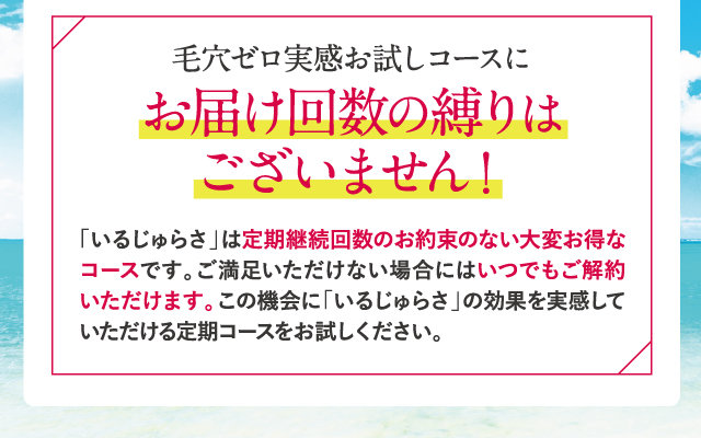 お届け回数の縛りはございません！