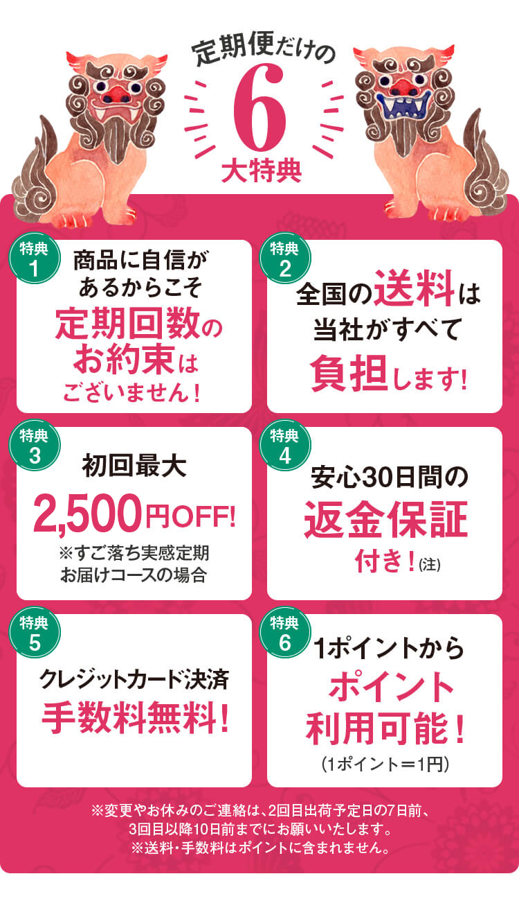 ネオ＊ちゅらびはだ　定期便だけの6大特典　【特典1】送料無料！　【特典2】初回最大75％OFF！　【特典3】続けるほど特別価格に！　【特典4】安心30日間の返金保証付き！　【特典5】クレジット決済は手数料無料+1000ポイント付き！　【特典6】隔月お届け時にプレゼント付き！