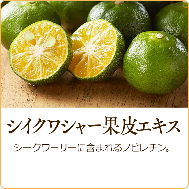 ネオ*わらびはだ アプリシエ