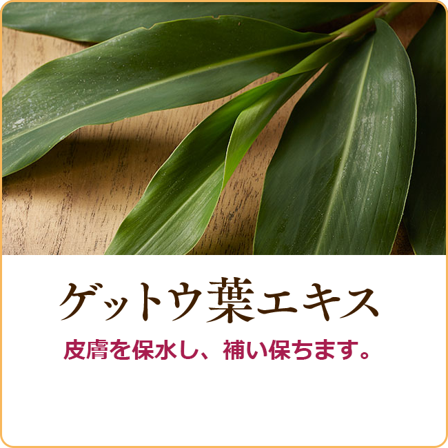 ネオ*わらびはだ メロンプラセンタエキス