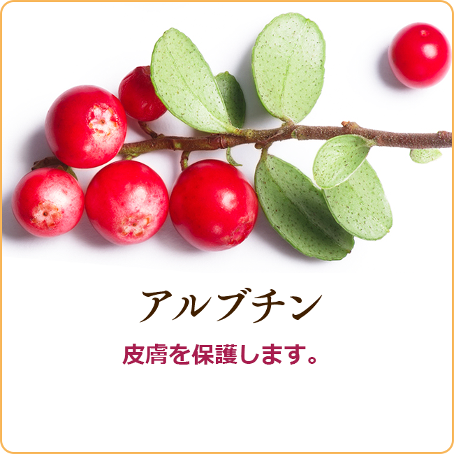 ネオ*わらびはだ アルブチン
