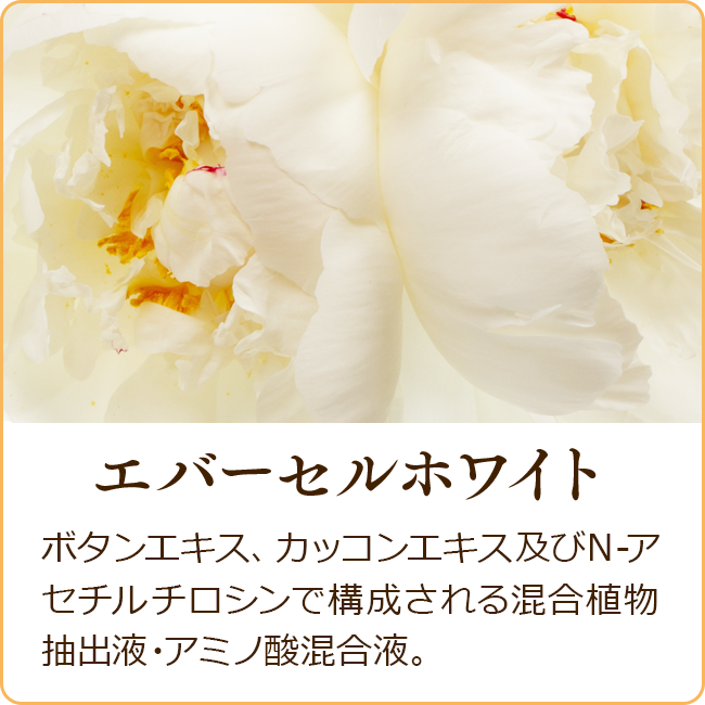 ネオ*わらびはだ エバーセルホワイト