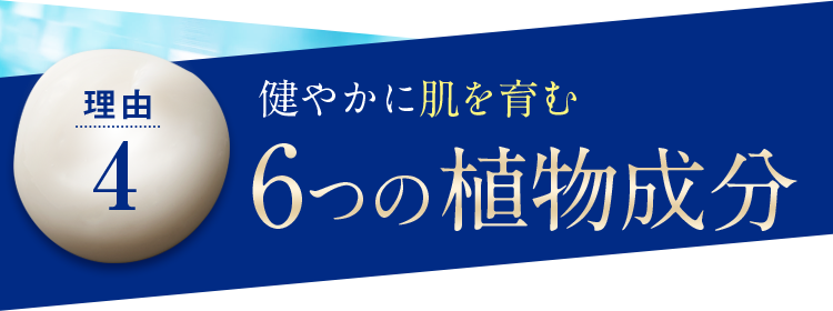 【理由4】健やかに肌を育む6つの植物成分