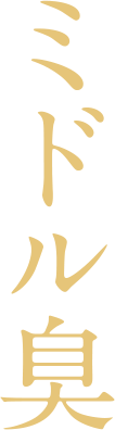 ミドル臭