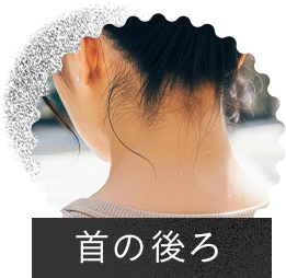首の後ろ