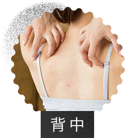 背中