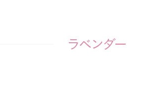 ラベンダー