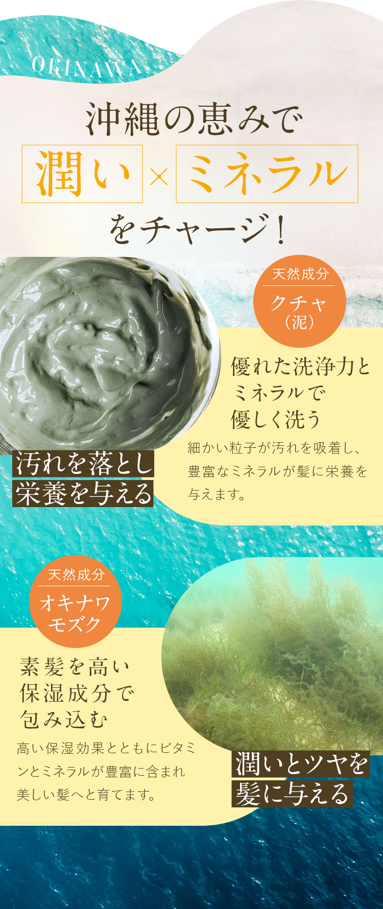 栄養で満たしバランスを整える