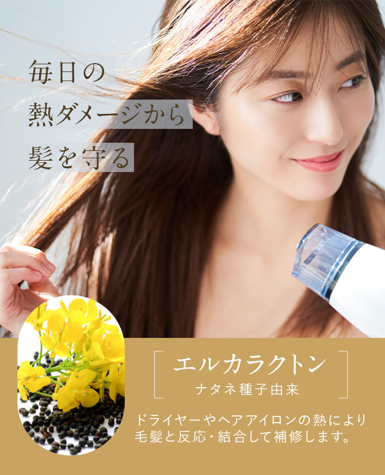 毎日の熱ダメージから髪を守る