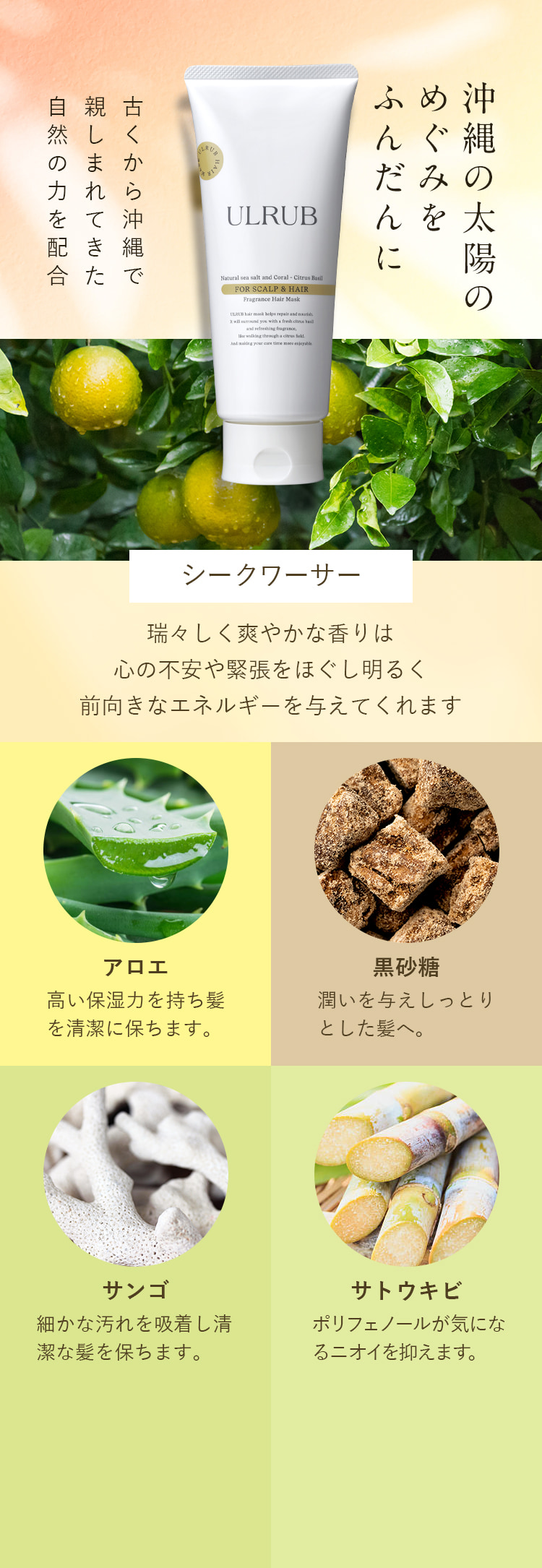 土台を立て直し髪を育てる