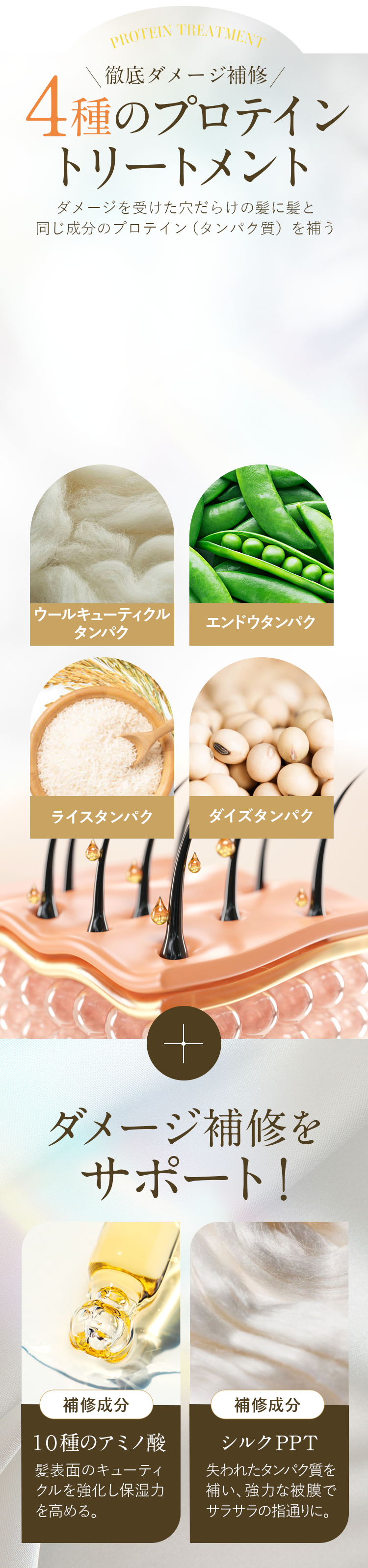 4種のプロテイントリートメント