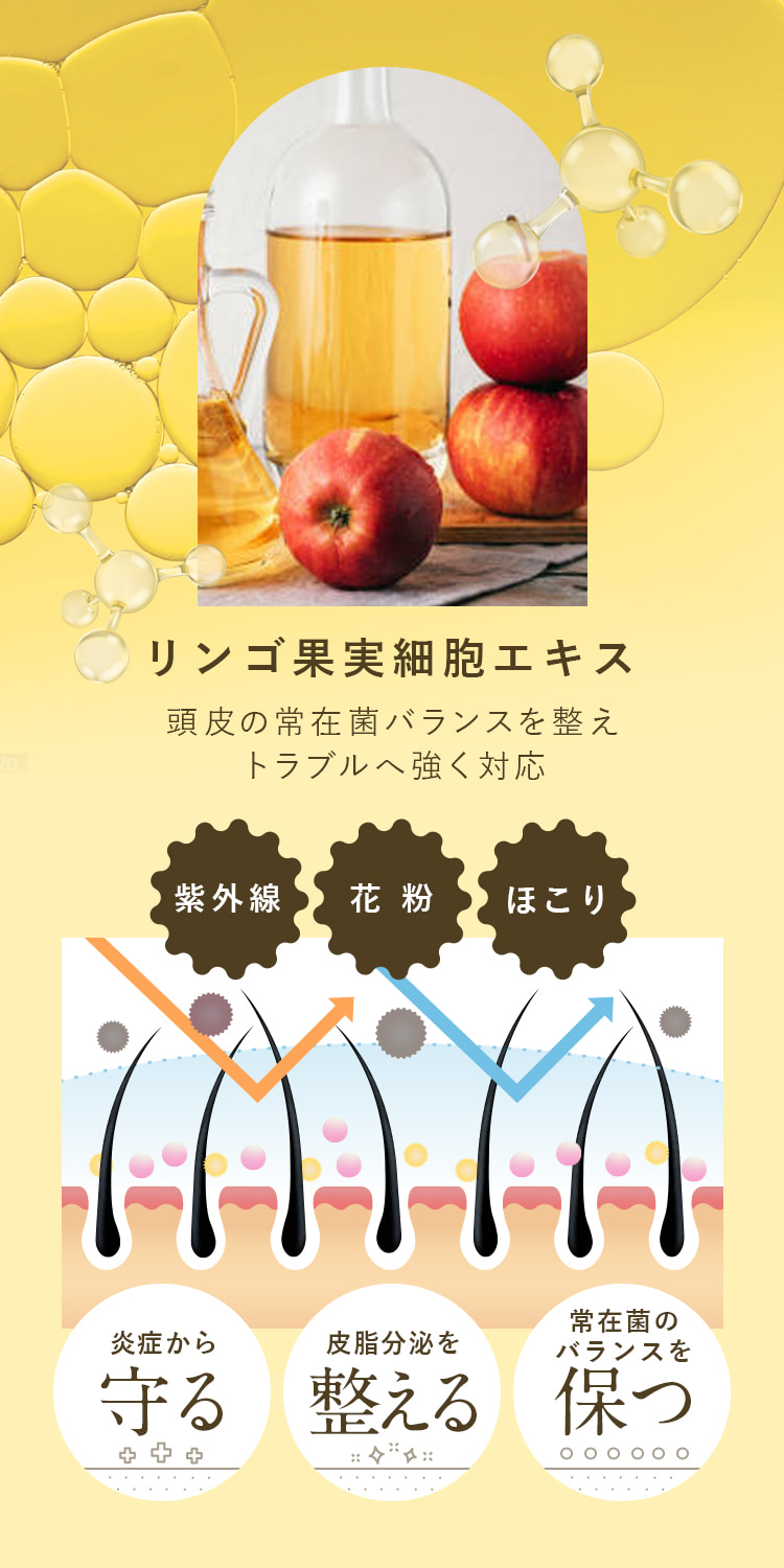 リンゴ果実細胞エキス
