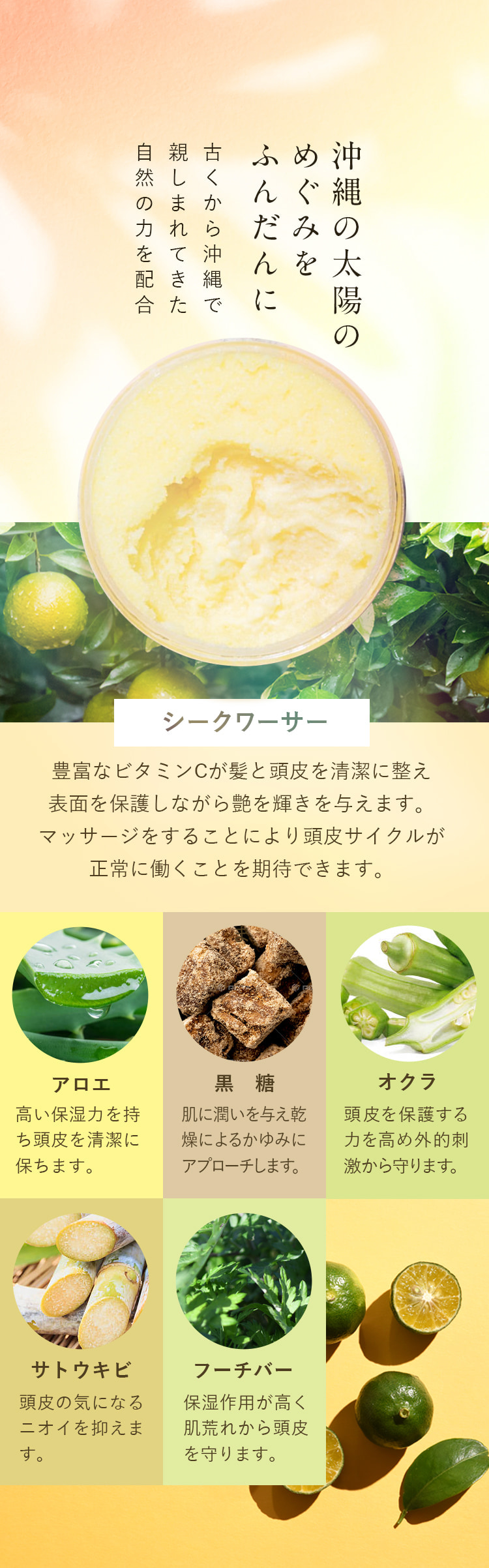 沖縄の太陽のめぐみをふんだんに