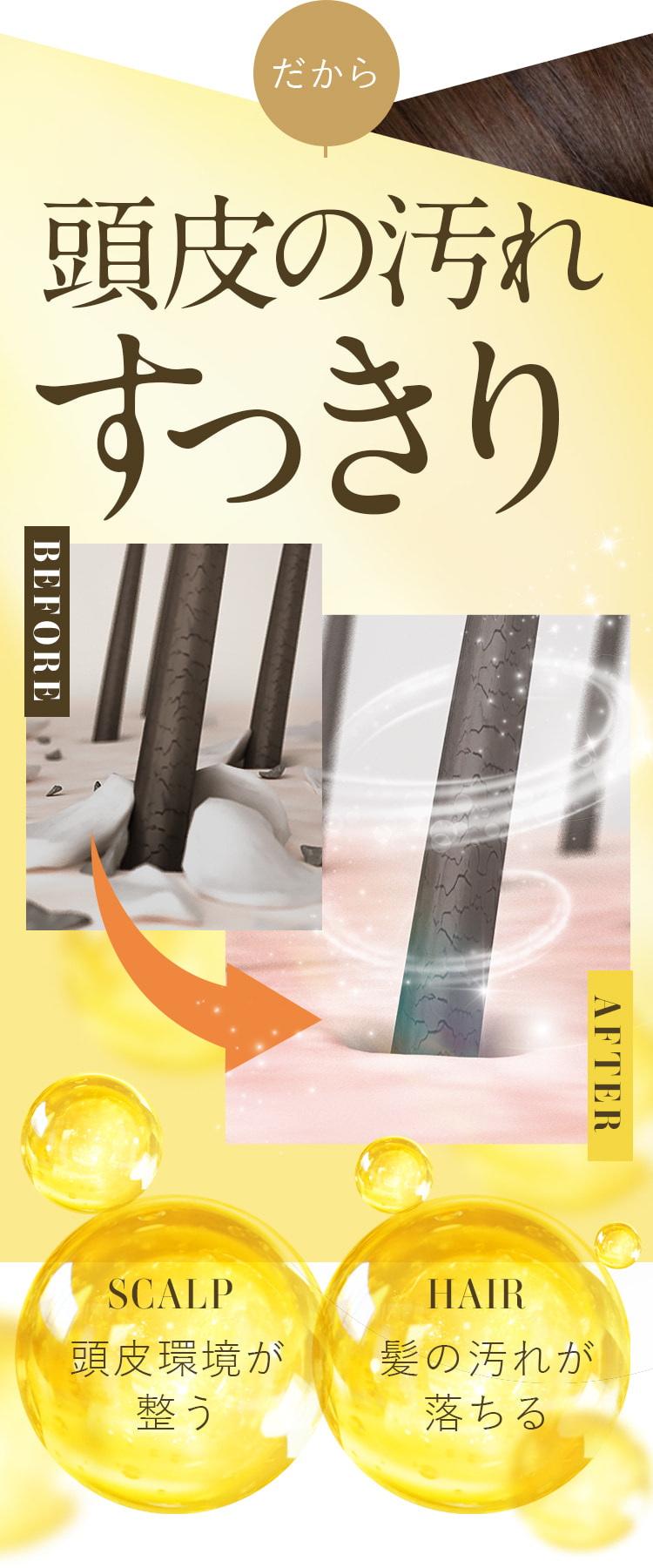 頭皮の汚れすっきり