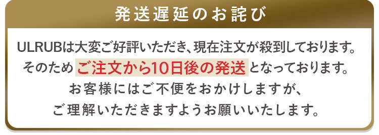発送遅延のお詫び