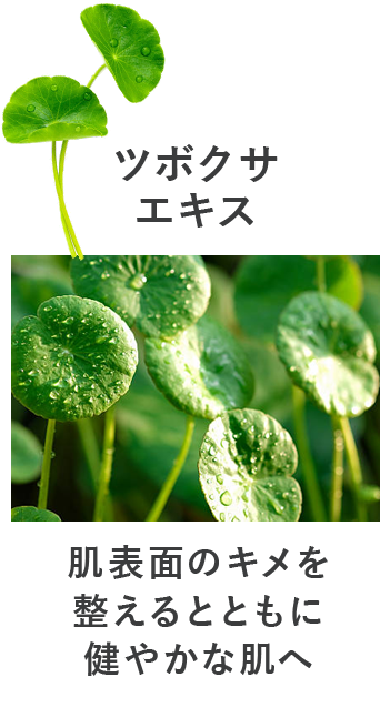 ツボクサエキス