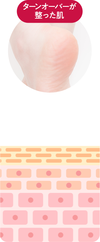 ターンオーバーが整った肌の動画　つるつるすべすべ