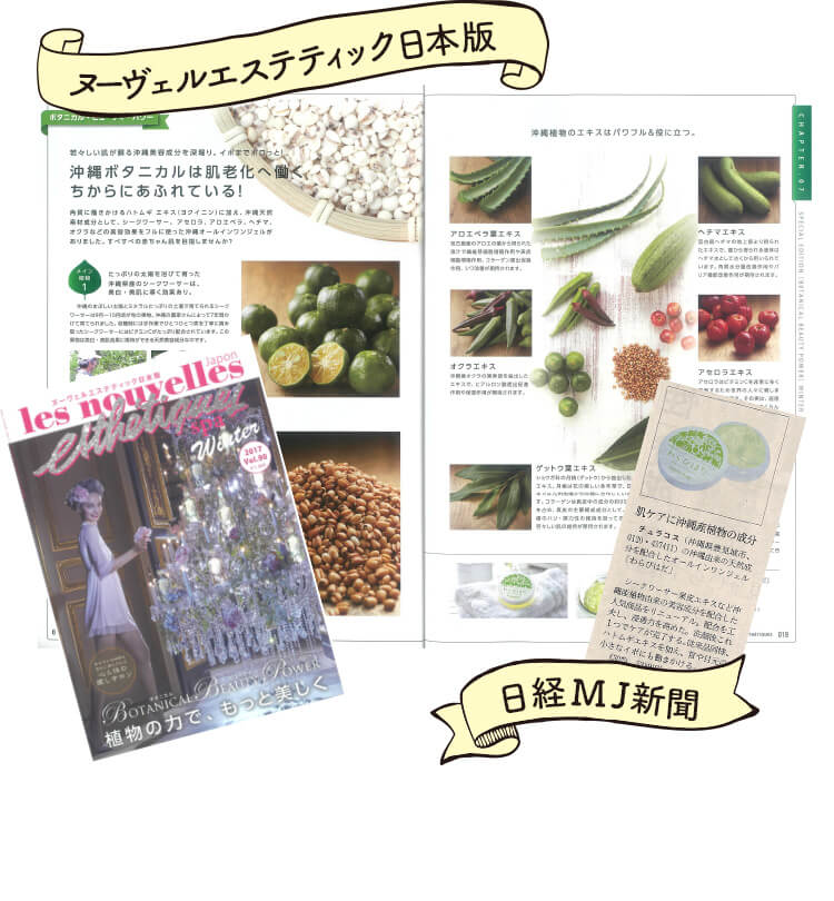 わらび肌　ヌーヴェルエステティック日本版 日経MJ新聞